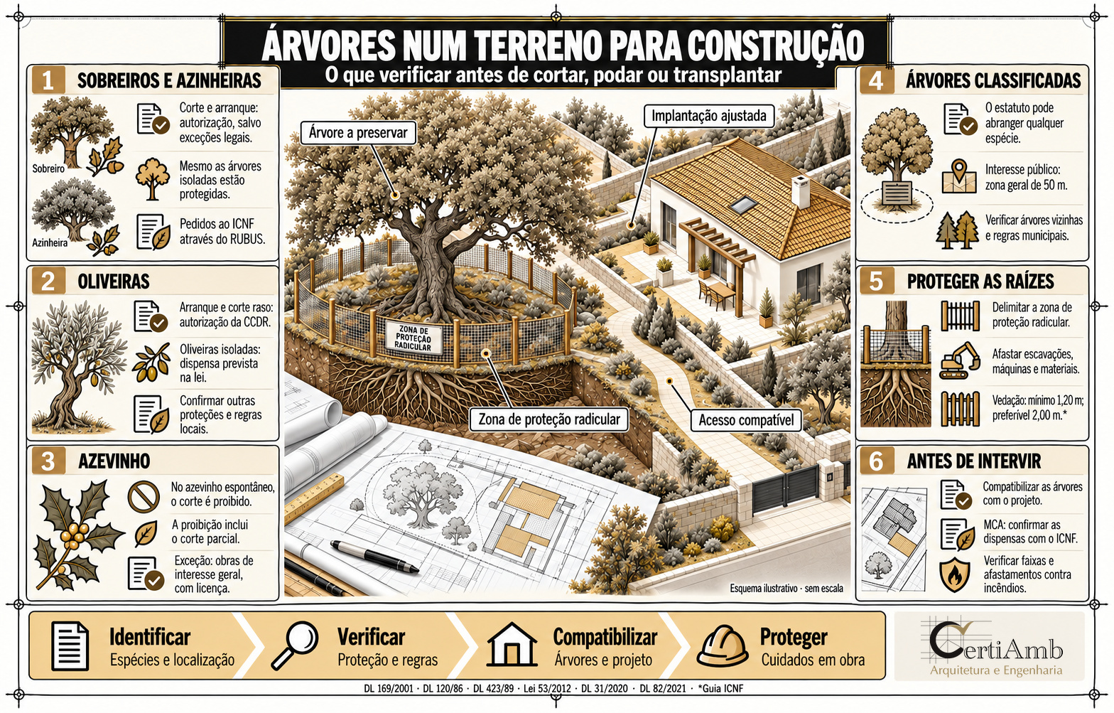 Infografía en portugués: alcornoque, encina, olivo, acebo, árboles clasificados y protección de las raíces en una parcela.