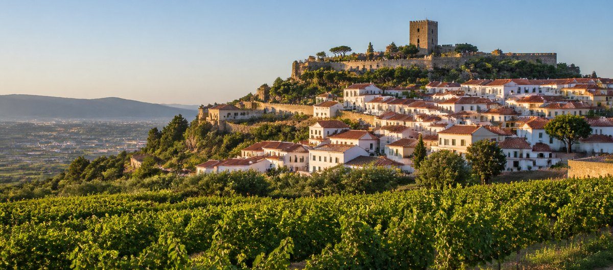 Aldeia com castelo no alto da colina e vinhas em redor, ao fim da tarde