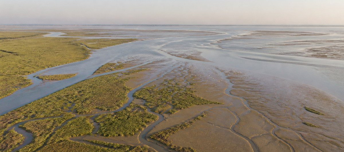 Sapal e canais de maré no estuário do Tejo ao amanhecer